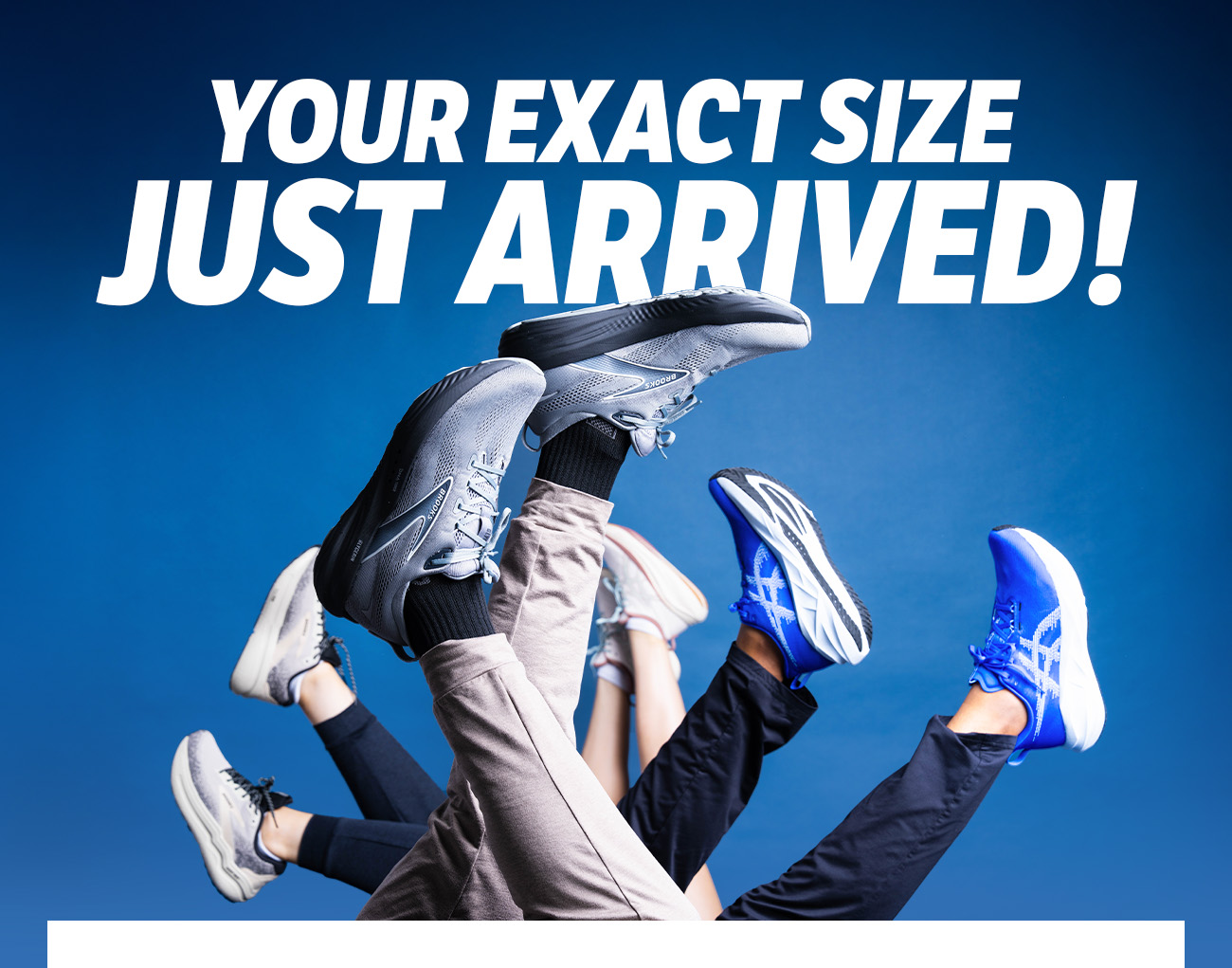 We Have Your Size